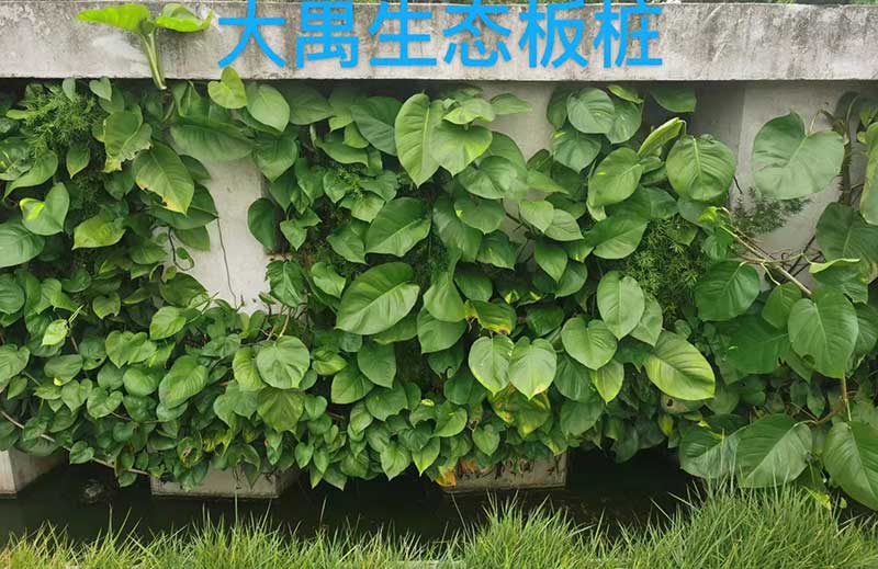 生態(tài)U型板樁 生態(tài)U型板樁