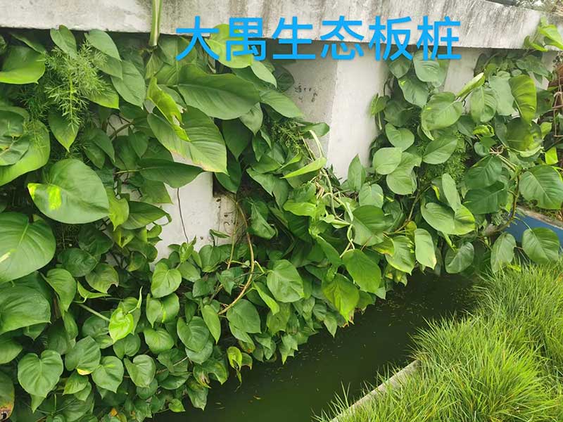 生態(tài)U型板樁 生態(tài)U型板樁